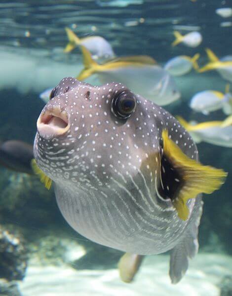 Voyage sur La Rochelle