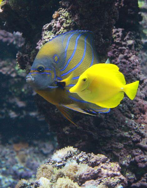 Voyage sur La Rochelle