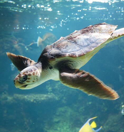 Voyage sur La Rochelle